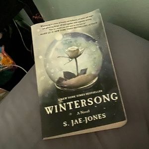 winter song aesthetic book